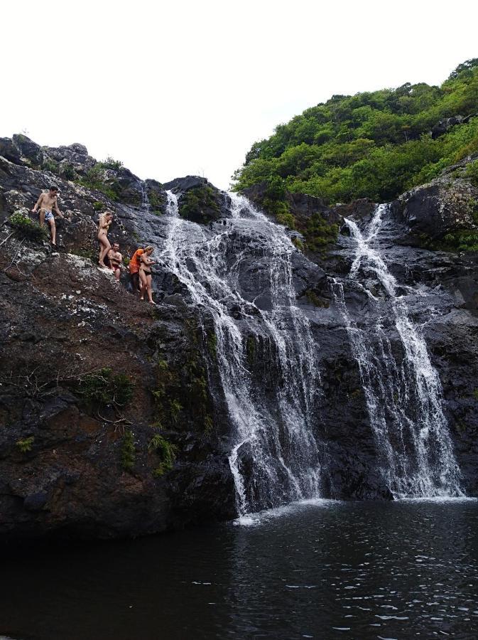 Green Discovery B&B Tamarind Falls 7 Cascades Henrietta Dış mekan fotoğraf